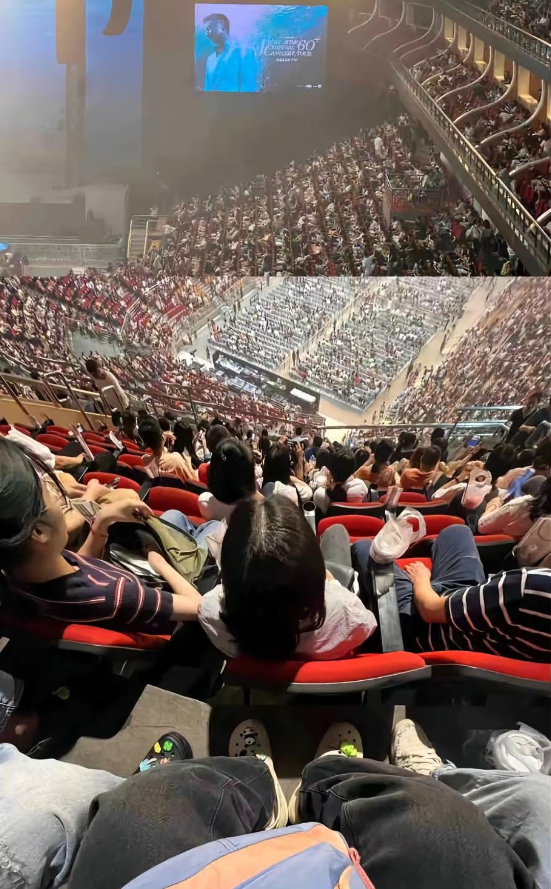 场上节奏明快,观众席欢呼声不绝于耳的简单介绍 场上节奏明快,观众席欢呼声不绝于耳的简单介绍