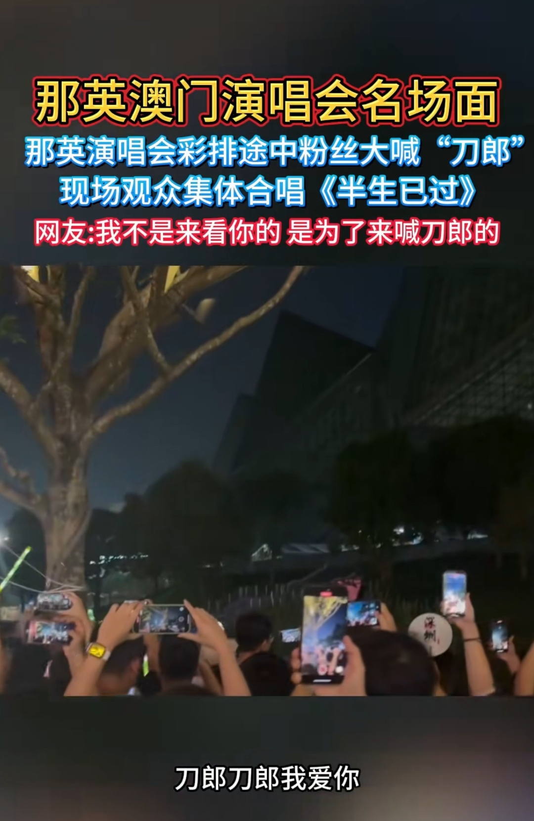 场上节奏明快,观众席欢呼声不绝于耳的简单介绍 场上节奏明快,观众席欢呼声不绝于耳的简单介绍